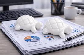 Tortoise Paperweight