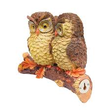 Owl Pair on a Branch