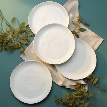 Everyday Dinner Plate
