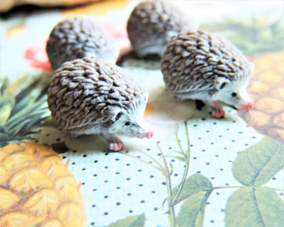 Hedgehog Family (Set of 4)
